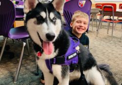 Therapy Dogs In Schools