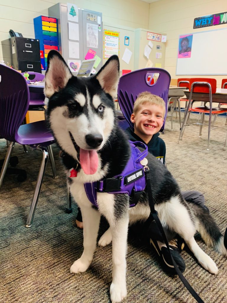 Therapy Dogs In Schools