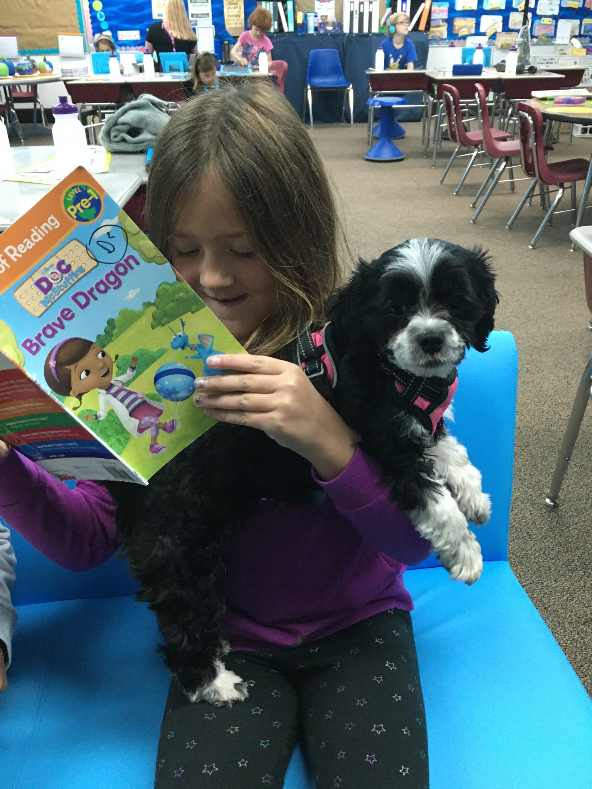 Therapy dogs in schools instructional coaches corner